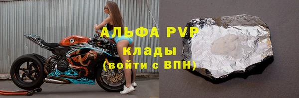 хмурый Абаза