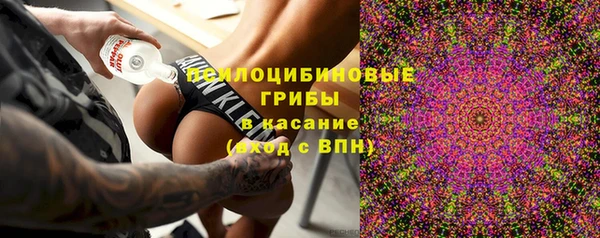 ешки Абинск