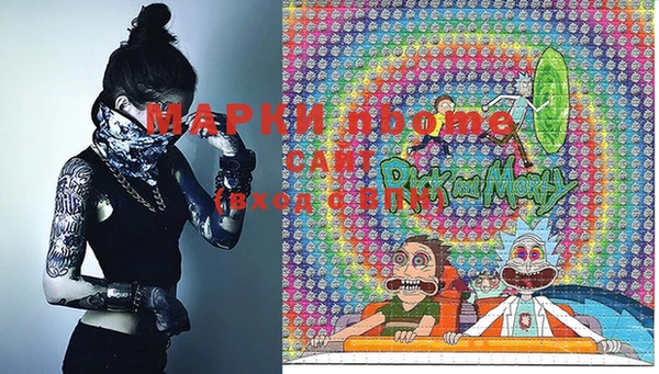 хмурый Абаза