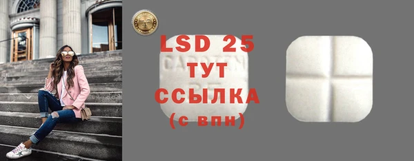 хмурый Абаза