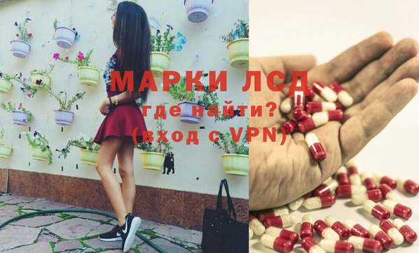 хмурый Абаза