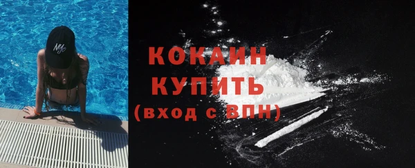 хмурый Абаза